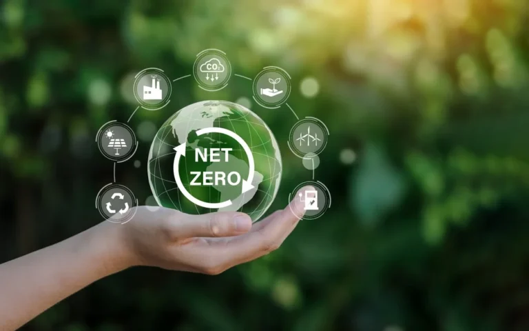 A Guide to the Foundation of Net Zero!