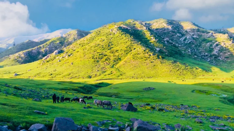 Materiality in ESG Reporting: What Is Relevant to a Pakistani Business?